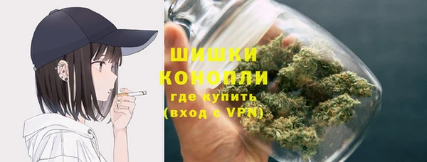 метадон Осташков