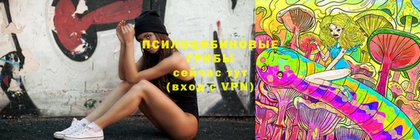 ПСИЛОЦИБИНОВЫЕ ГРИБЫ Остров