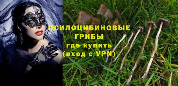 метадон Осташков