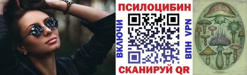 где найти   Приозерск  Галлюциногенные грибы MAGIC MUSHROOMS 